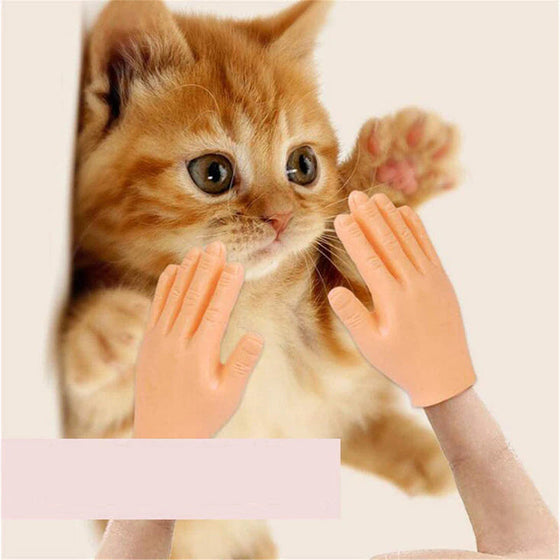 Lustige Katzen-Massagehandschuhe