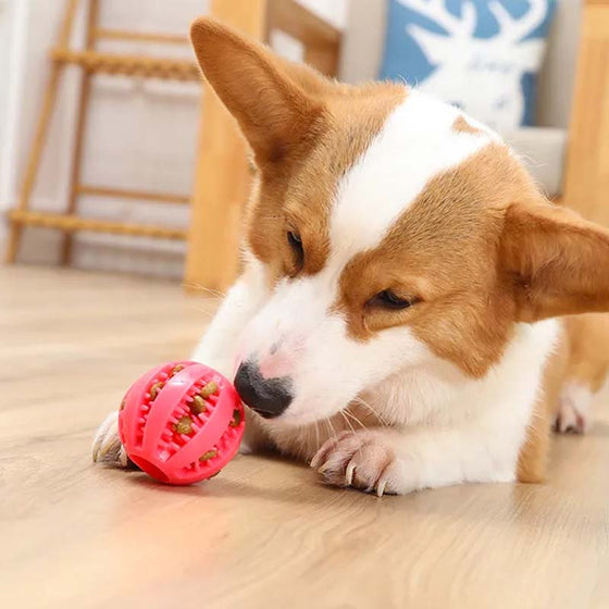 Zahnungsspielzeug für Hunde