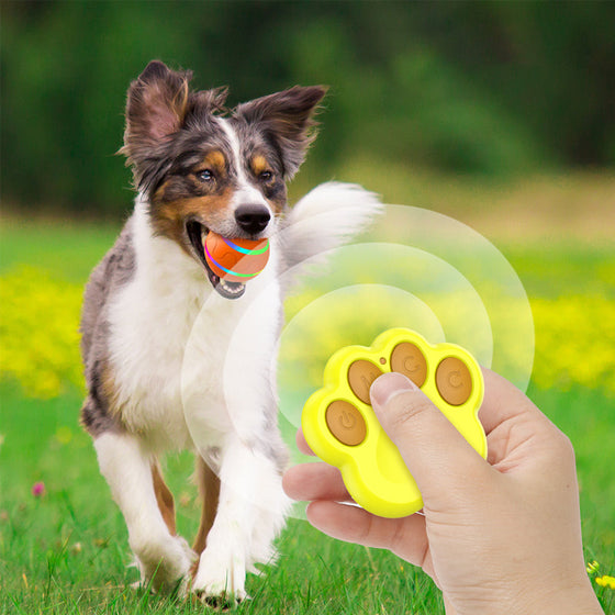 Interaktives automatisch bewegliches Spielzeug mit LED-Blitzball