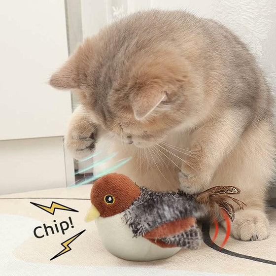 Funny cat simulation bird