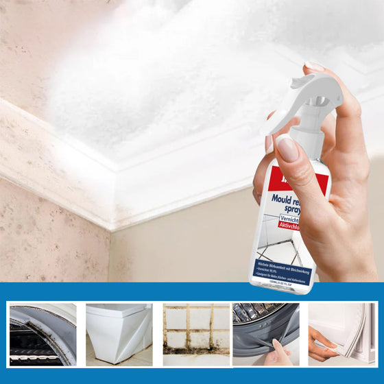 Mildew removal foam spray