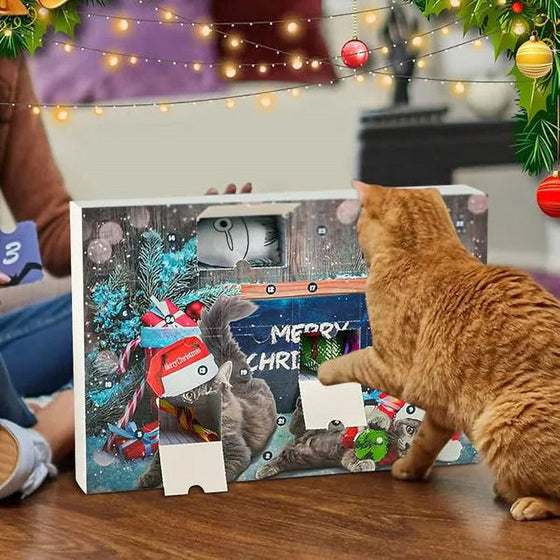 Weihnachtskalender für Katzen