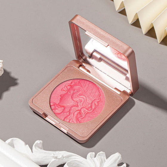 Embossed Smooth Powder Blush Palette für die Wangen