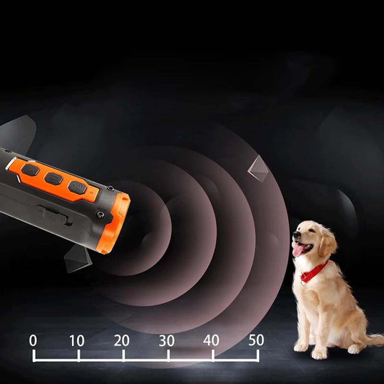Ultraschall-Hundeverjünger