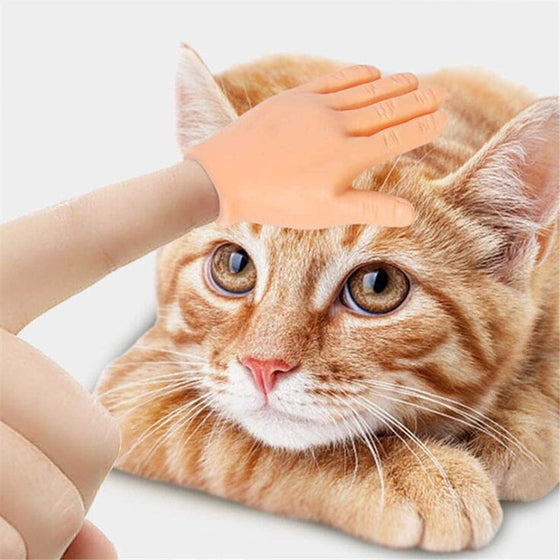 Lustige Katzen-Massagehandschuhe