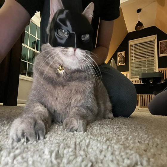 Bat Cat Mask