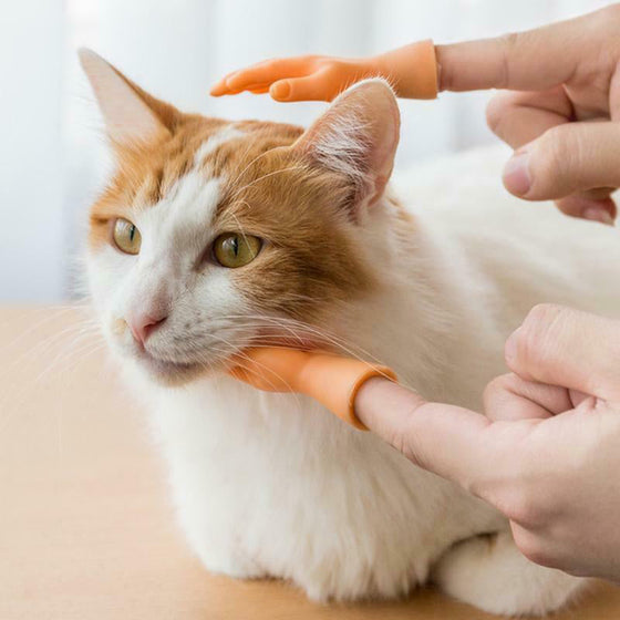 Lustige Katzen-Massagehandschuhe