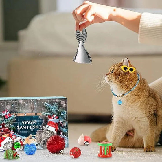 Weihnachtskalender für Katzen