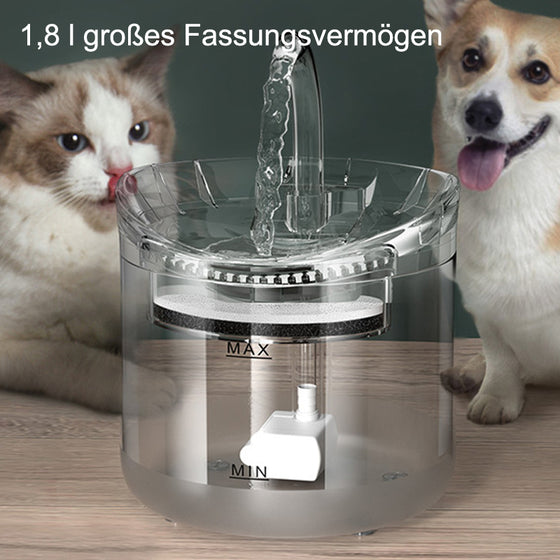 Trinkbrunnen für Katzen und Hunde