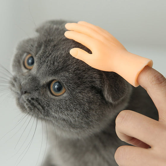 Lustige Katzen-Massagehandschuhe