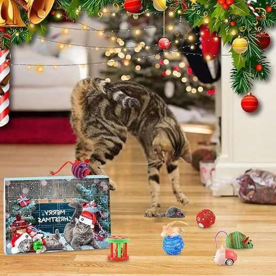 Weihnachtskalender für Katzen