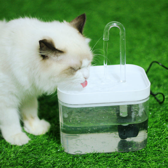Automatischer Umlaufwasserspender für Haustiere