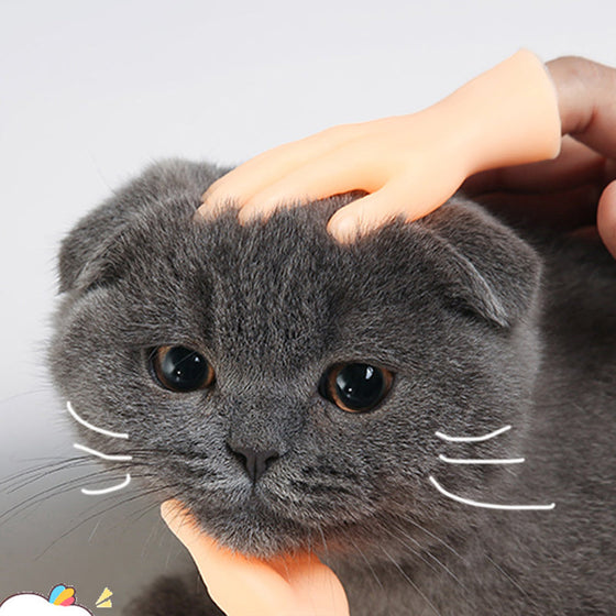 Lustige Katzen-Massagehandschuhe