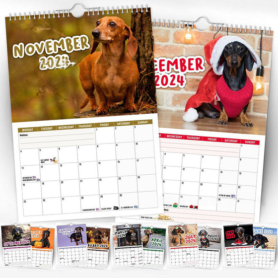 Freche Dachshunde - Wandkalender 2024