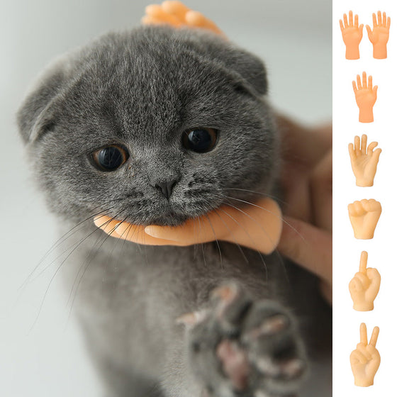 Lustige Katzen-Massagehandschuhe