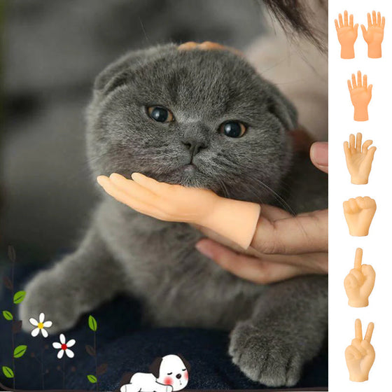 Lustige Katzen-Massagehandschuhe