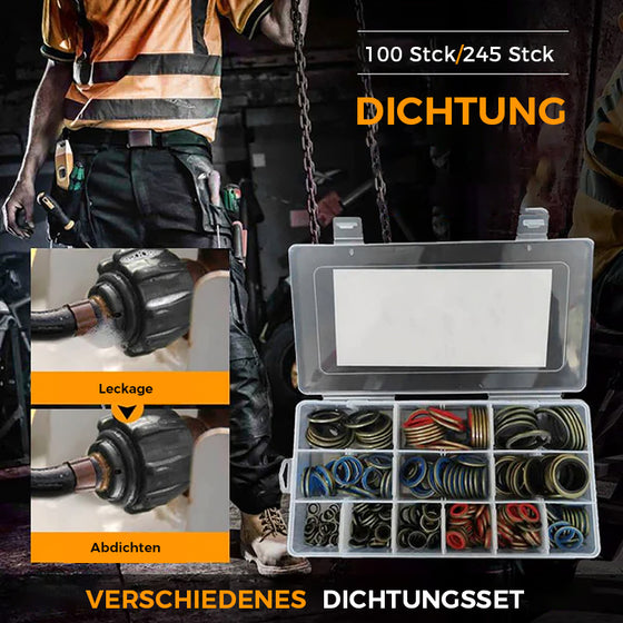 100 Stück / 245 Stück sortierter Dichtungssatz