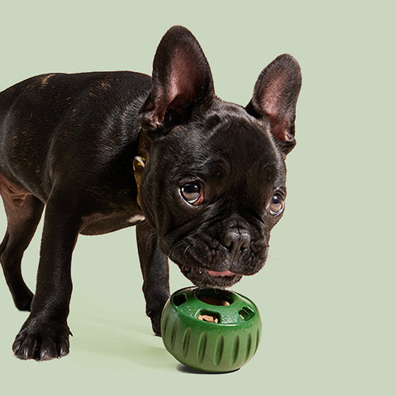 Ausstopfbares Slow-Food-Spielzeug für Hunde