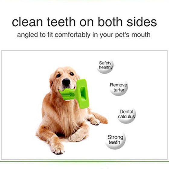 Zahnbürste für Hunde