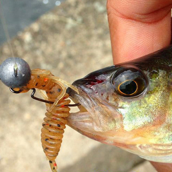 Insektenköder aus weichem Gummi