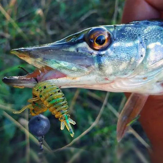 Insektenköder aus weichem Gummi