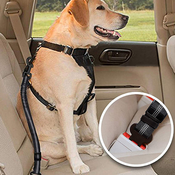 Sicherheitsgurt für Hunde