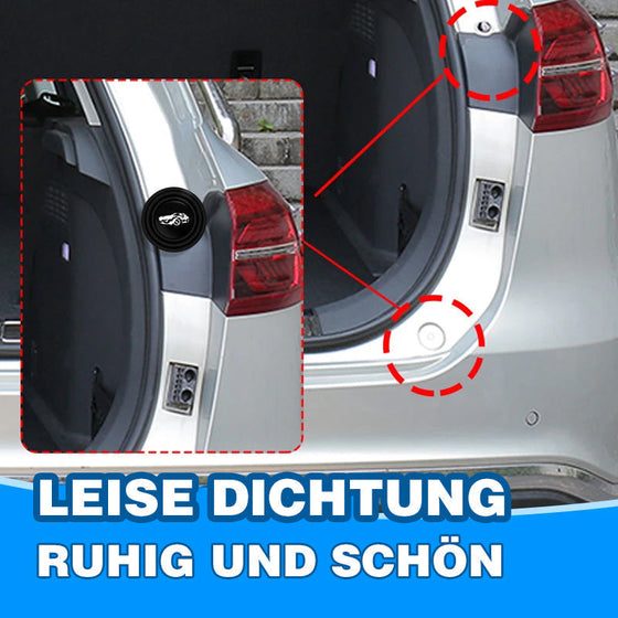 Stoßdämpfende und geräuscharme Dichtung der Autotür