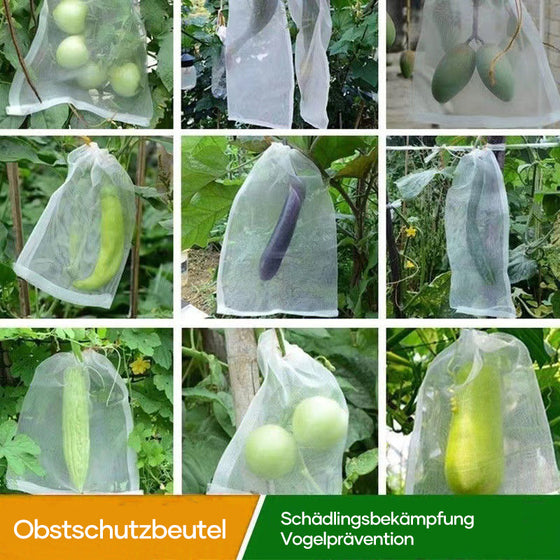 Obstschutzbeutel (100 Stück)