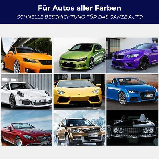 Premium-Set zum Entfernen von Autokratzern