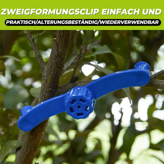 🌱🌱Fixateur für Zweigmodellierung