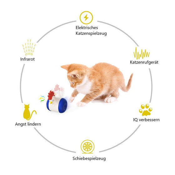 Küken Laser Katzenspielzeug