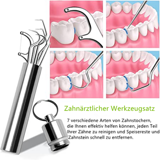 Zahnstocher-Set aus Edelstahl (7 Stk)