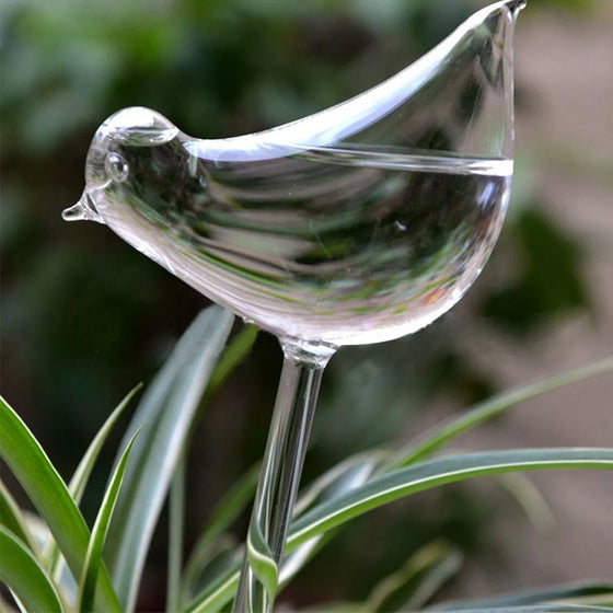 Bewässerungsgerät aus Glas