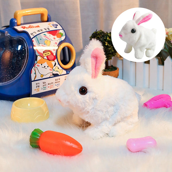 Bunny Toys Pädagogisches interaktives Spielzeug