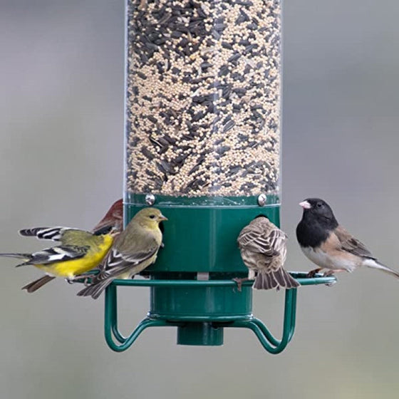 Eichhörnchensicherer Vogelhäuschen